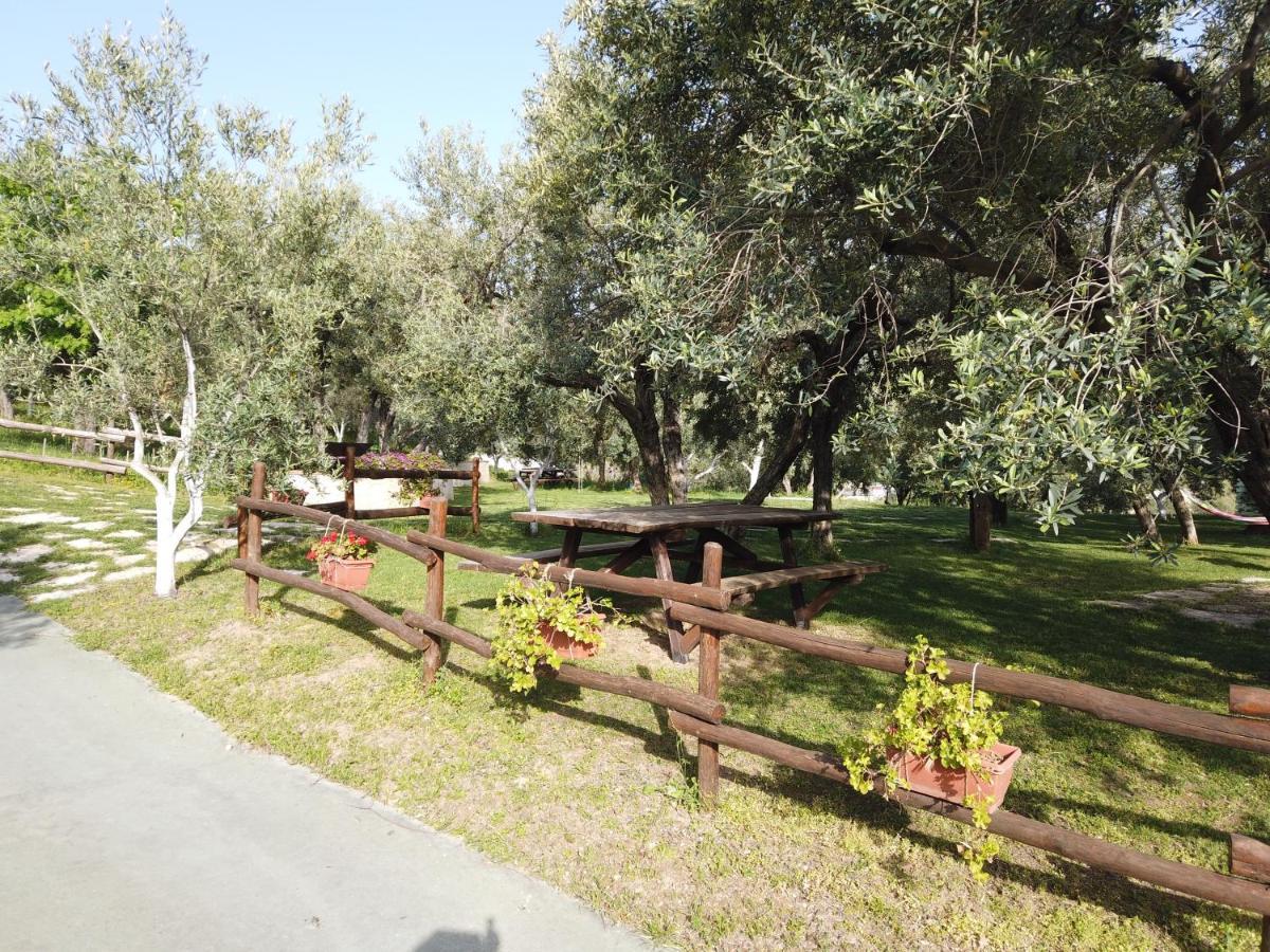 Il Mandorlo Villa Amantea Buitenkant foto