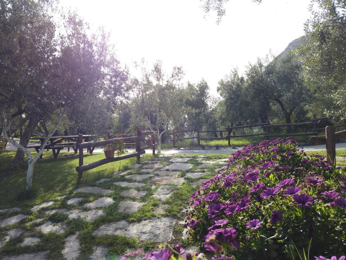 Il Mandorlo Villa Amantea Buitenkant foto