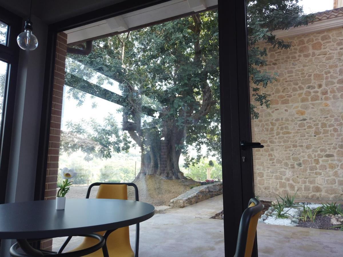 Il Mandorlo Villa Amantea Buitenkant foto