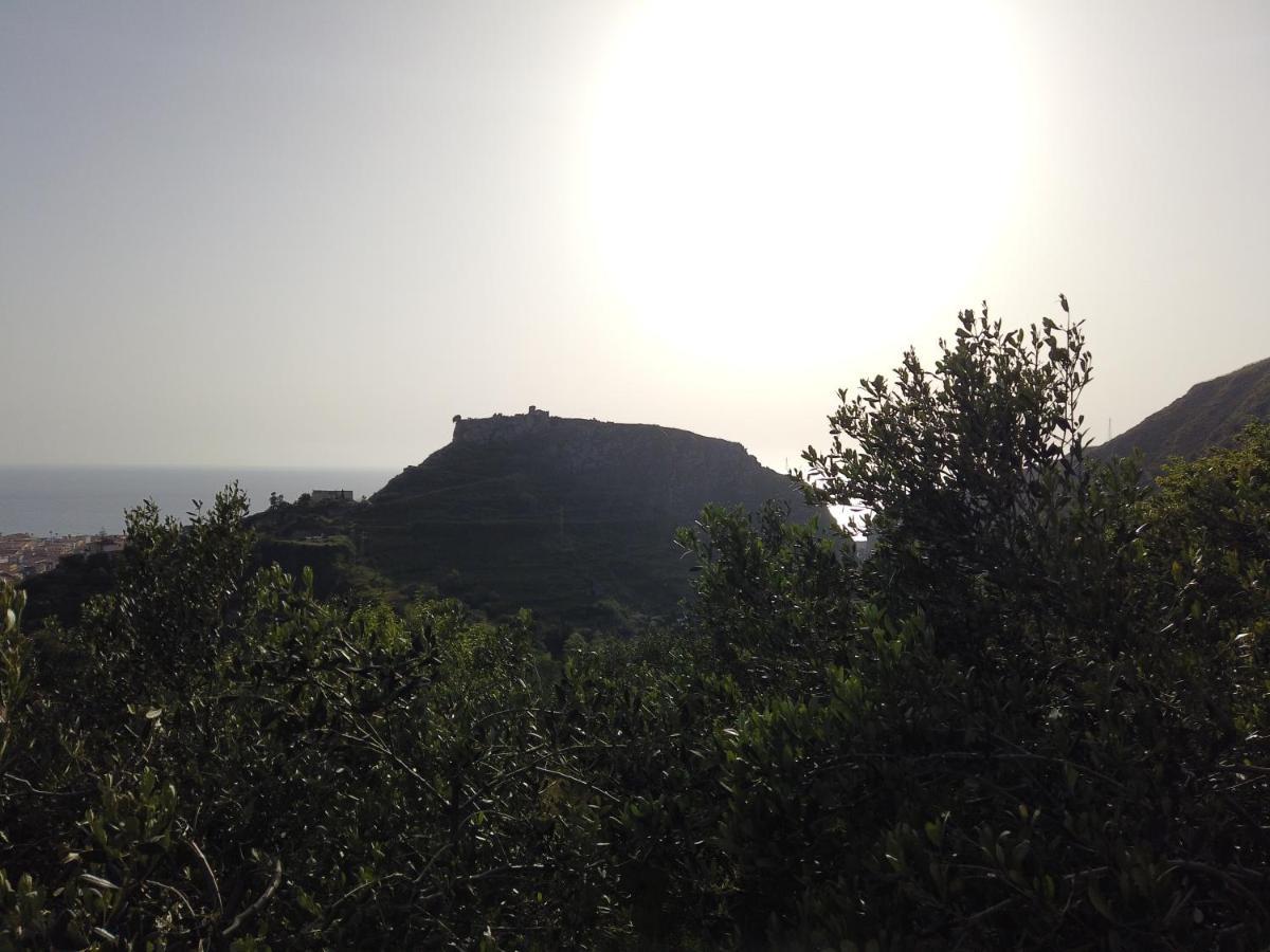 Il Mandorlo Villa Amantea Buitenkant foto
