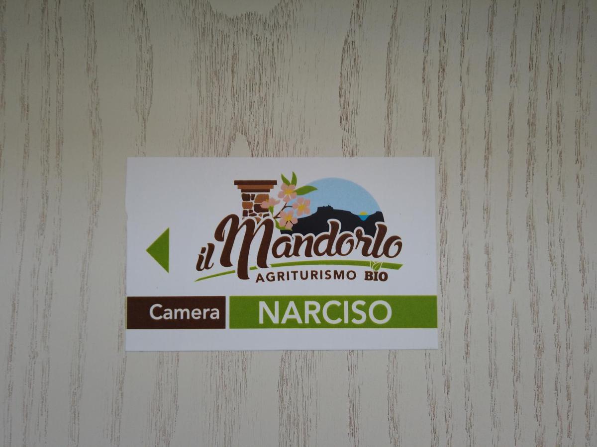 Il Mandorlo Villa Amantea Buitenkant foto